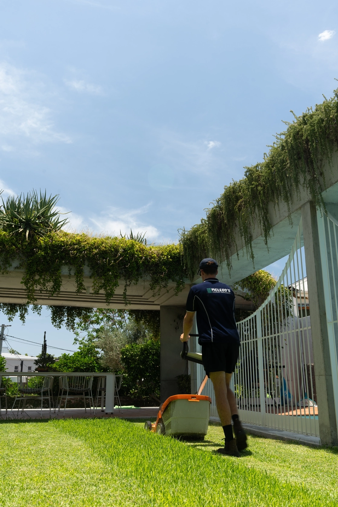 Tree and hedge pruning &mdash; McLeod's Property Maintenance